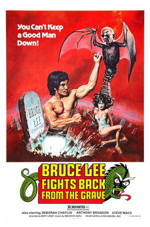 Poster for Брюс Ли возвращается
