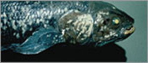 Poster for Эпизод 3
