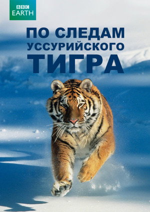 Poster for По следам уссурийского тигра