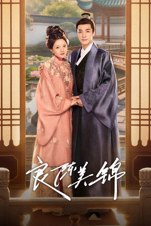 Poster for A Splendid Match