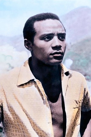 Cover image for Breno Mello