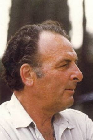Cover image for Manolo Bolognini