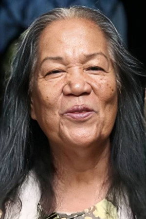Cover image for Erlinda Villalobos