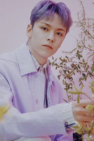 Cover image for 버논