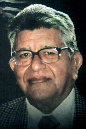 Cover image for José Palomino