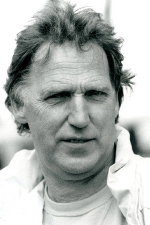 Cover image for Waldemar Bergendahl