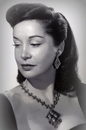 Cover image for Terry Saunders