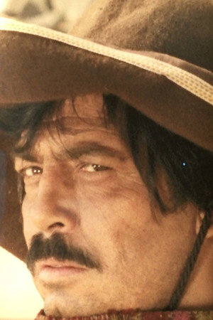 Cover image for Luis Rodríguez