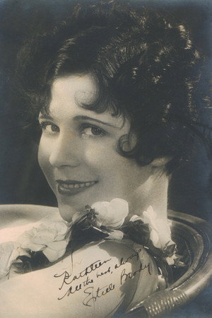 Cover image for Estelle Brody