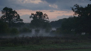 Poster for Эпизод 22