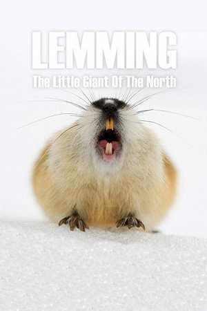 Poster for Lemming: The Little Giant of the North