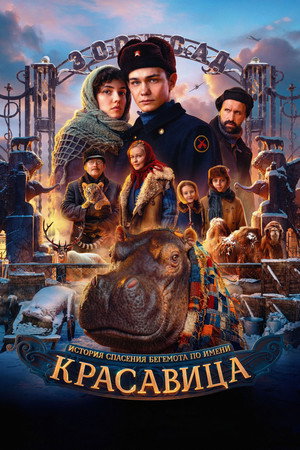 Poster for Красавица
