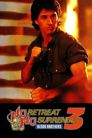 Poster for No Retreat, No Surrender 3: Blood Brothers
