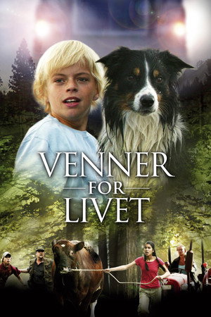 Poster for Поиск друз ей