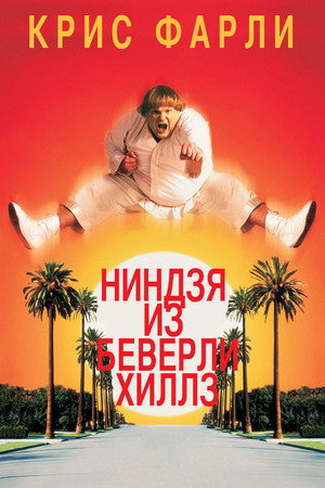 Poster for Ниндзя из Беверли Хиллз