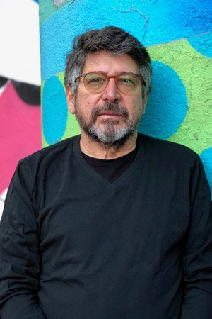 Cover image for Ricardo Steinberg