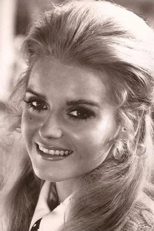 Cover image for Sharon Farrell