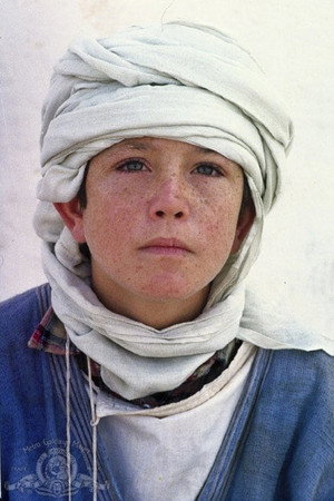 Cover image for Kelly Reno