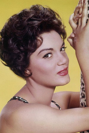 Cover image for Connie Francis