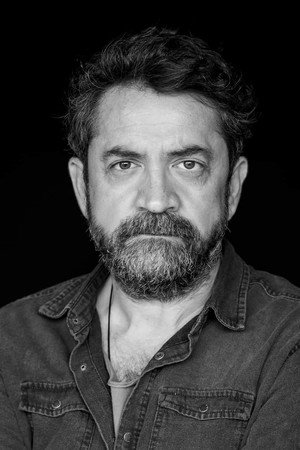 Cover image for Liviu Cheloiu
