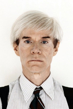 Cover image for Andy Warhol