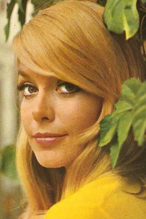 Cover image for Teresa Gimpera