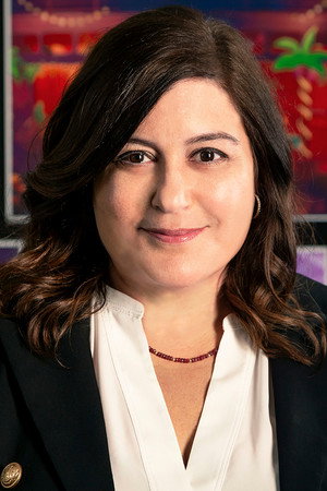 Cover image for Michelle Raimo Kouyate