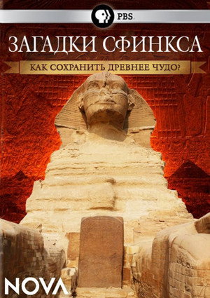 Poster for Riddles of the Sphinx