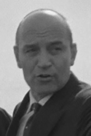 Cover image for Cesarino Miceli Picardi
