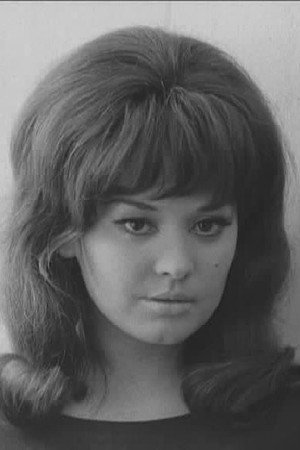 Cover image for Sylvie Bréal