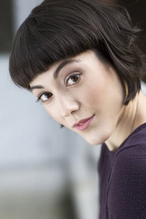 Cover image for Sandra Shapiro