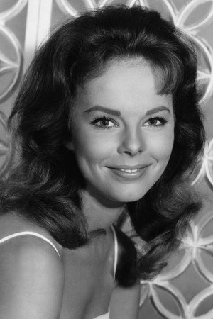 Cover image for Anne Helm