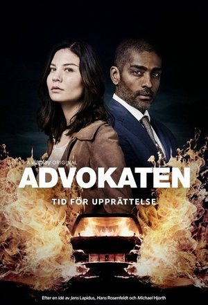 Poster for The Lawyer