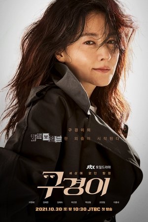 Poster for Inspector Koo