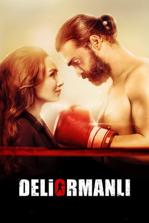 Poster for Турецкий Тигр