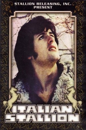 Poster for Итальянский жеребец