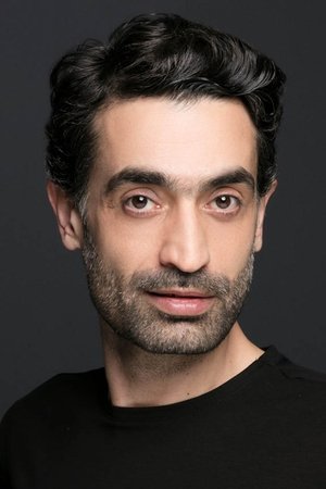 Cover image for Diren Polatoğulları