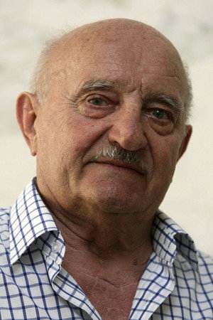 Cover image for Josef Somr