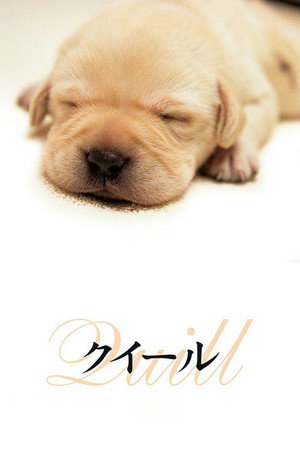 Poster for Куилл