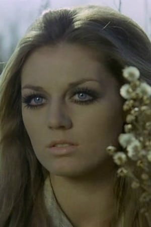 Cover image for Simonetta Vitelli