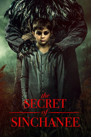 Poster for Тайна Синчани 