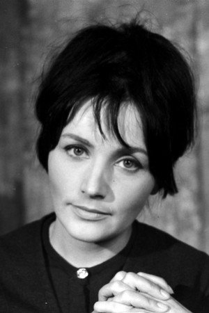 Cover image for Barbara Bargiełowska