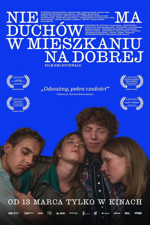 Poster for В квартире на Доброй нет призраков