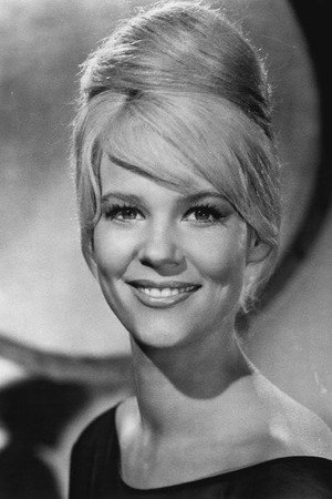 Cover image for Jennifer Billingsley
