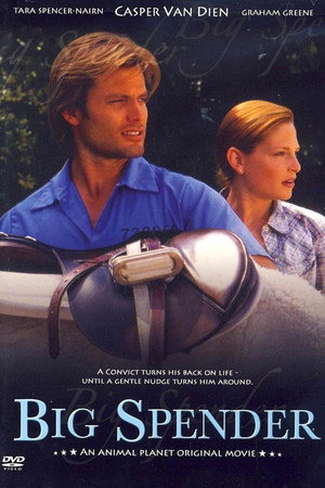 Poster for Большой спонсор