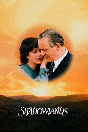 Poster for Страна теней