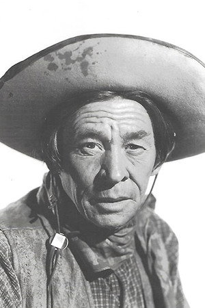 Cover image for Charles Stevens