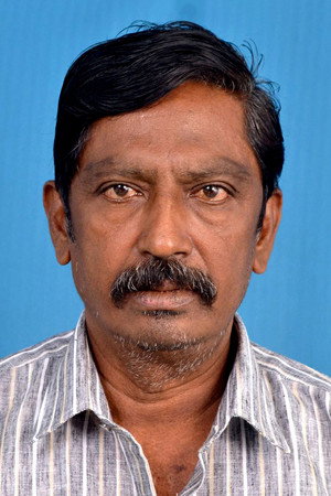 Cover image for Pandian
