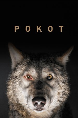 Poster for Spoor