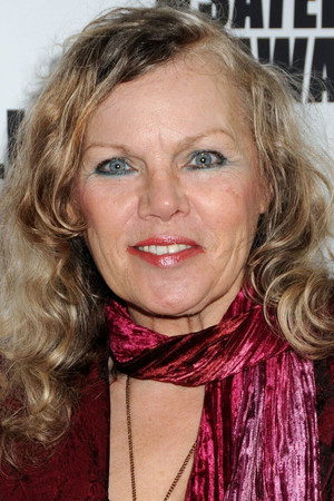 Cover image for Merrie Lynn Ross